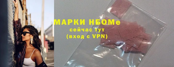 мдпв Верея