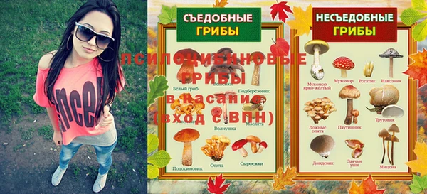 дмт Верхний Тагил