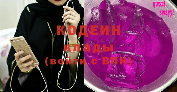 мдпв Верея