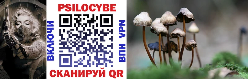 Галлюциногенные грибы Psilocybine cubensis  кракен онион  Вичуга 