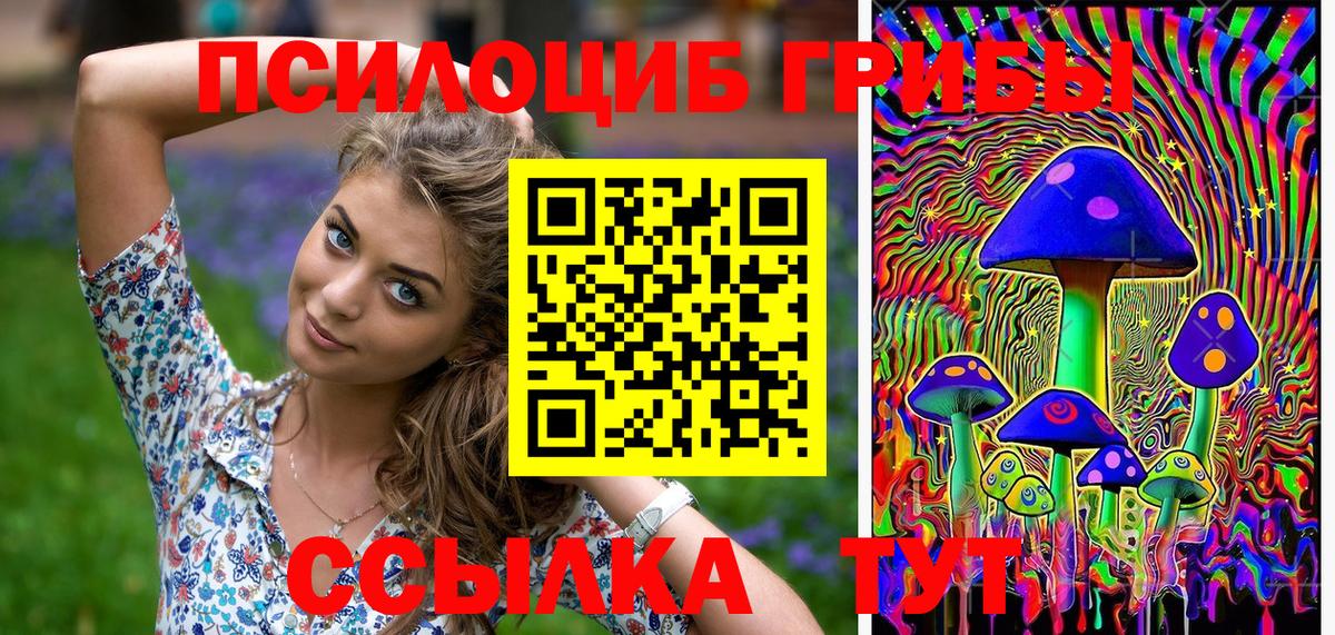 Альфа ПВП Вичуга